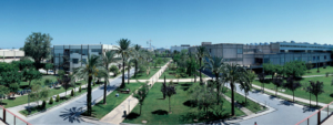 Summer School UPV